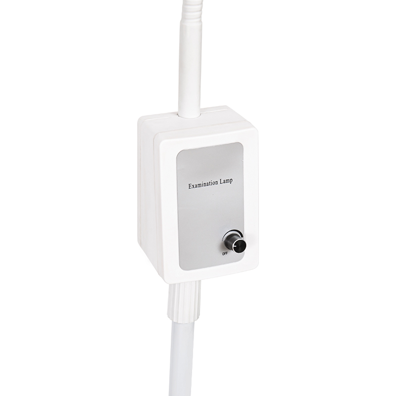 3W inaedificata Tergum altilium DUXERIT Gooseneck Examen lampadis