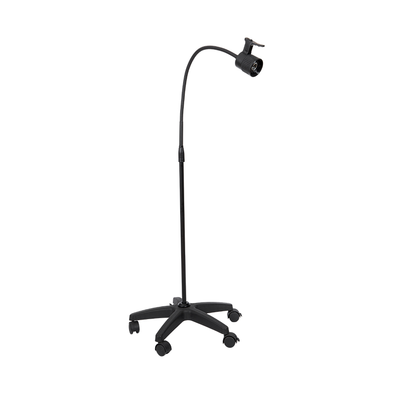 3W DUXERIT examinatio lampadis